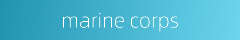 marine corps的同义词