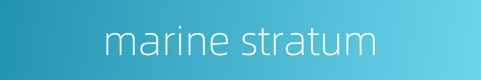 marine stratum的同义词