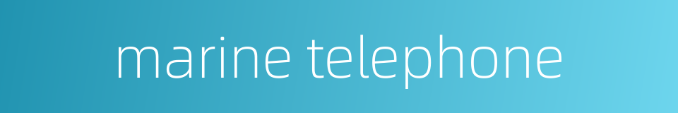 marine telephone的同义词