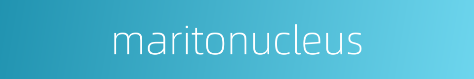 maritonucleus的同义词