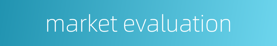 market evaluation的同义词