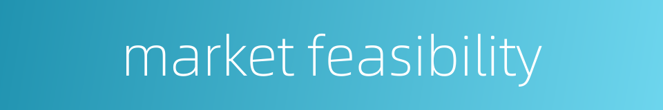 market feasibility的同义词