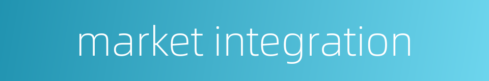 market integration的同义词
