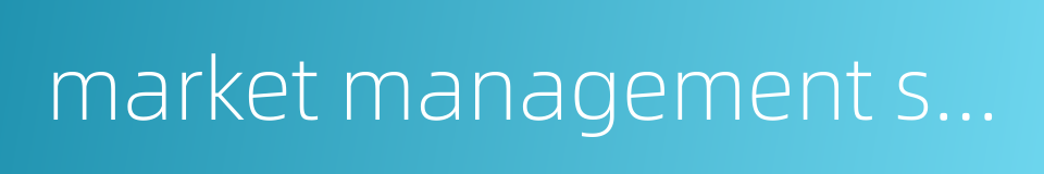 market management strategy的同义词