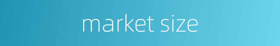 market size的同义词