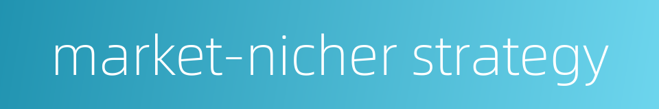 market-nicher strategy的同义词