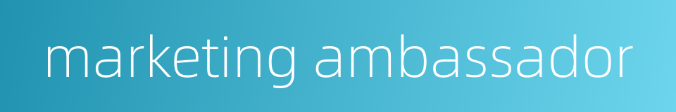 marketing ambassador的同义词