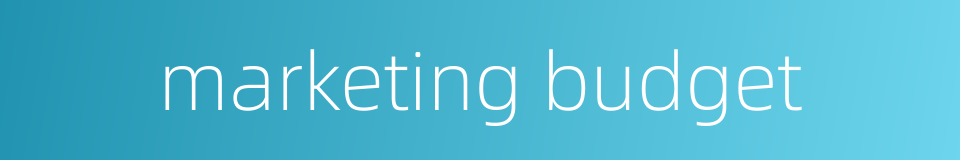 marketing budget的同义词