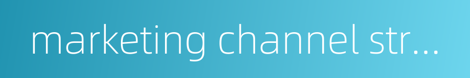 marketing channel strategy的同义词