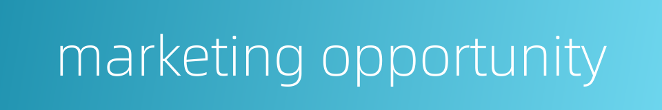 marketing opportunity的同义词