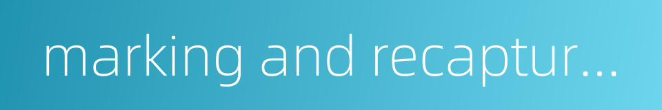 marking and recapture method的同义词