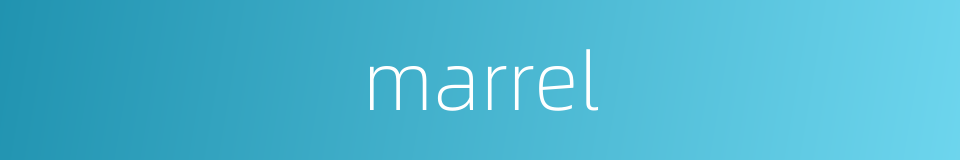 marrel的同义词