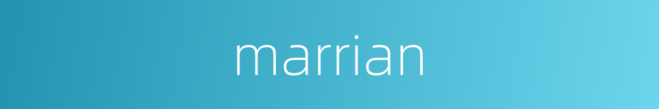 marrian的同义词
