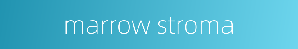 marrow stroma的同义词