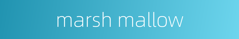 marsh mallow的同义词