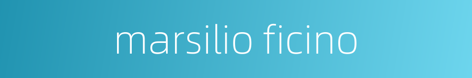 marsilio ficino的同义词