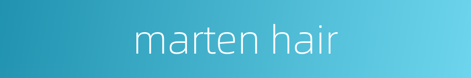 marten hair的同义词