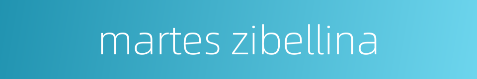 martes zibellina的同义词