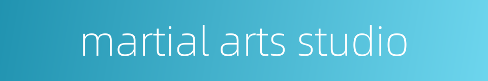 martial arts studio的同义词