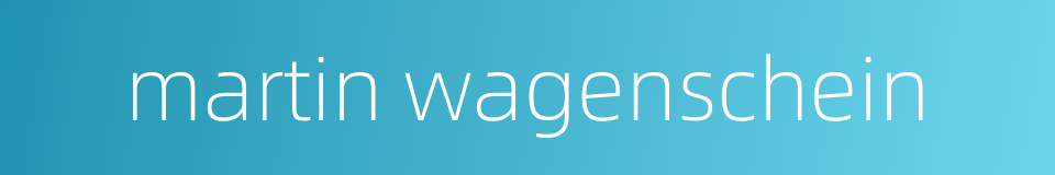 martin wagenschein的同义词