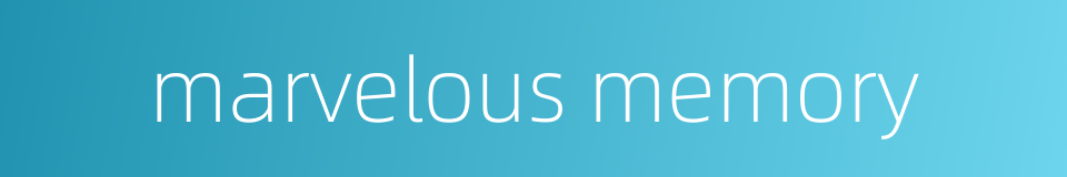 marvelous memory的同义词