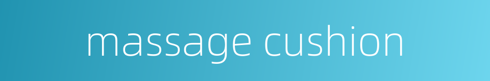 massage cushion的同义词