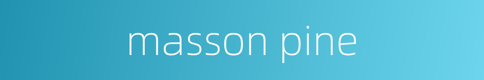 masson pine的同义词