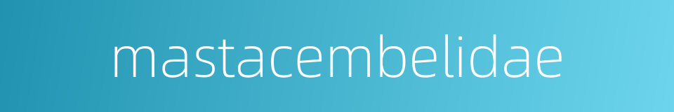 mastacembelidae的同义词