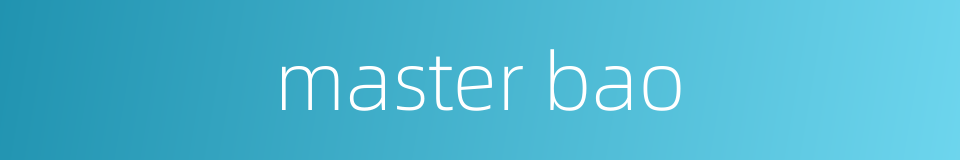 master bao的同义词