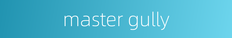 master gully的同义词