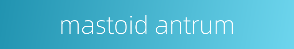mastoid antrum的同义词