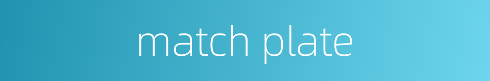 match plate的同义词