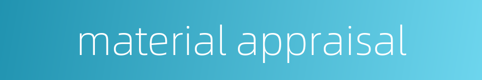 material appraisal的同义词