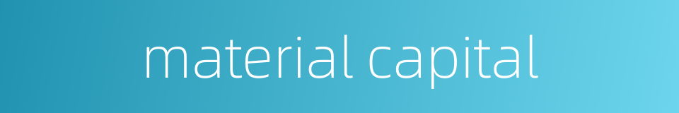 material capital的同义词