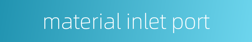 material inlet port的同义词