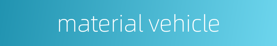 material vehicle的同义词