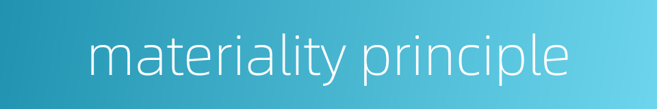 materiality principle的同义词