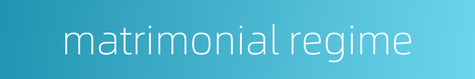matrimonial regime的同义词