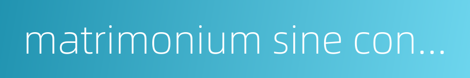 matrimonium sine connubio的同义词
