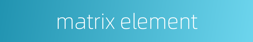 matrix element的同义词