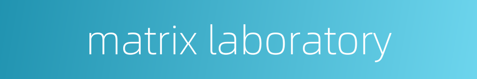 matrix laboratory的同义词