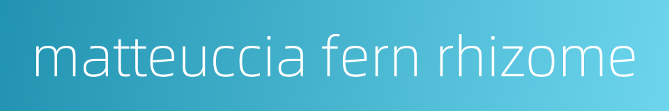 matteuccia fern rhizome的同义词