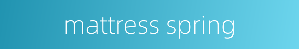 mattress spring的同义词