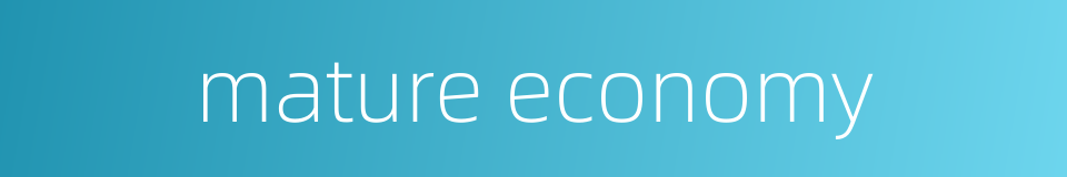 mature economy的同义词