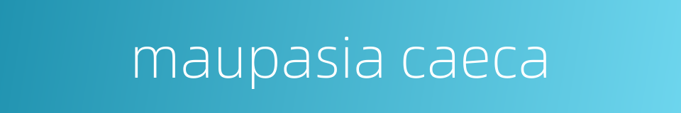 maupasia caeca的同义词