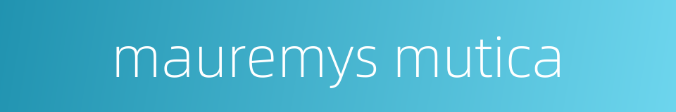 mauremys mutica的同义词