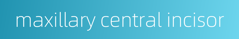 maxillary central incisor的同义词