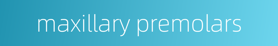 maxillary premolars的同义词