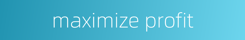 maximize profit的同义词