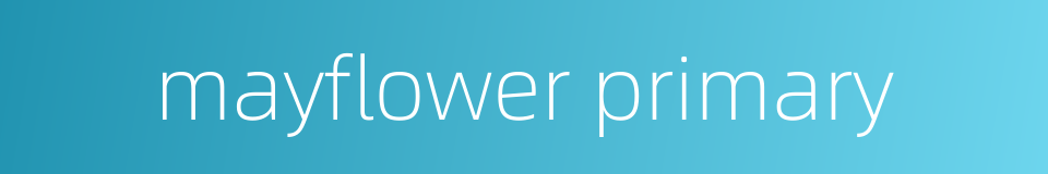 mayflower primary的同义词